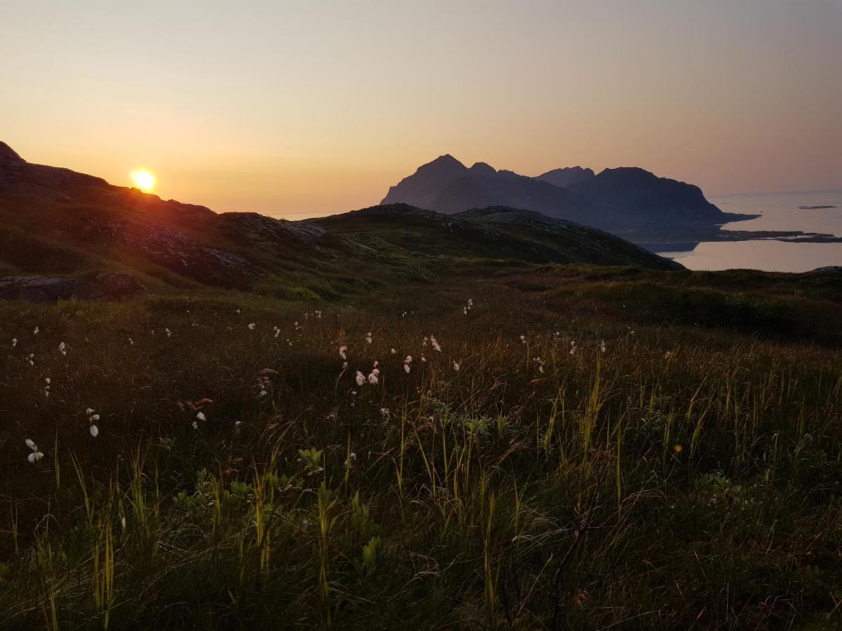 Villa Walter Lofoten With Sauna Kvalnes  Экстерьер фото