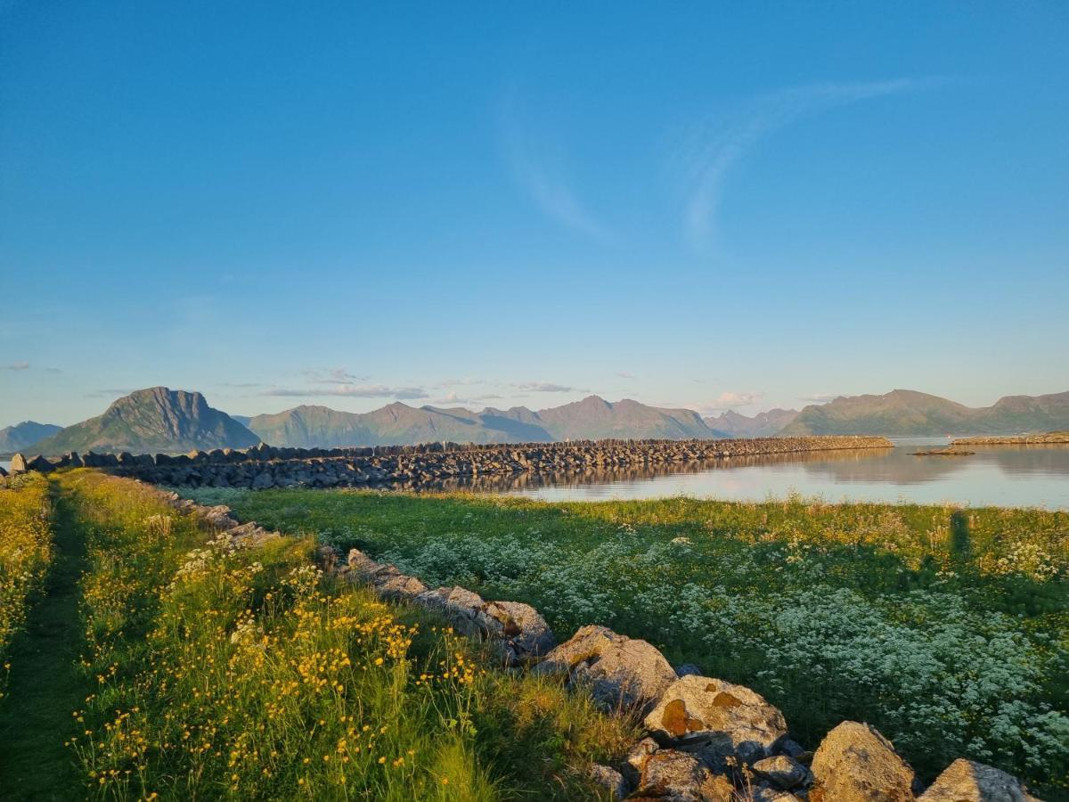 Villa Walter Lofoten With Sauna Kvalnes  Экстерьер фото