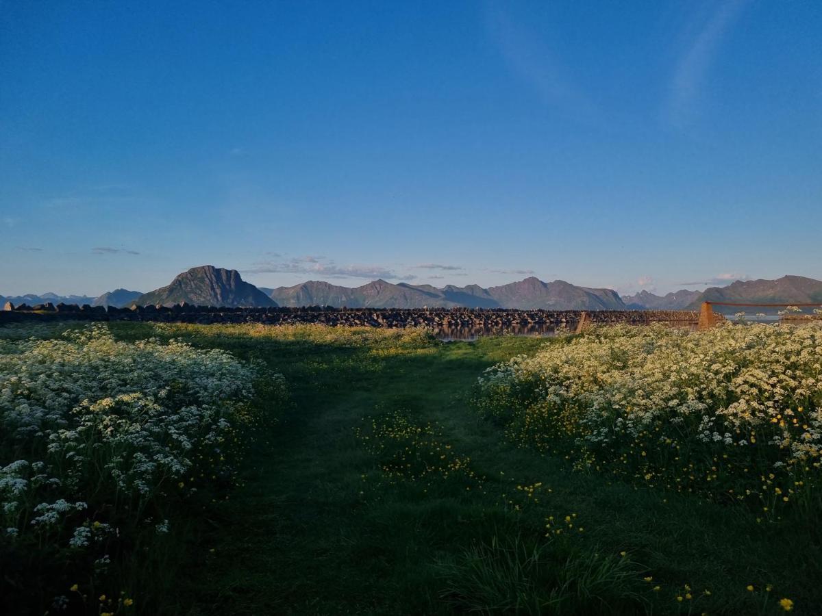 Villa Walter Lofoten With Sauna Kvalnes  Экстерьер фото